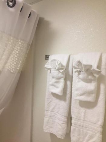 Hall of Fame Main image